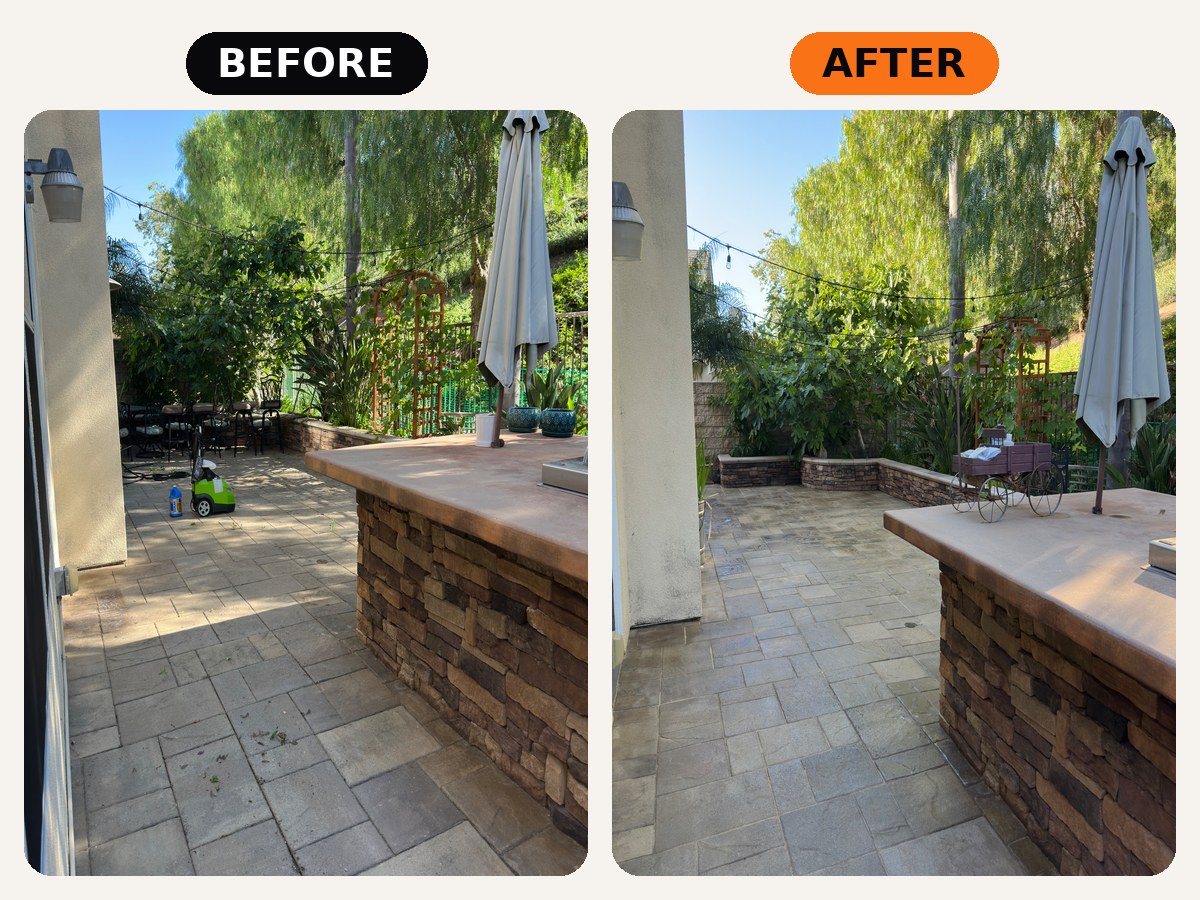 Backyard Cleaning