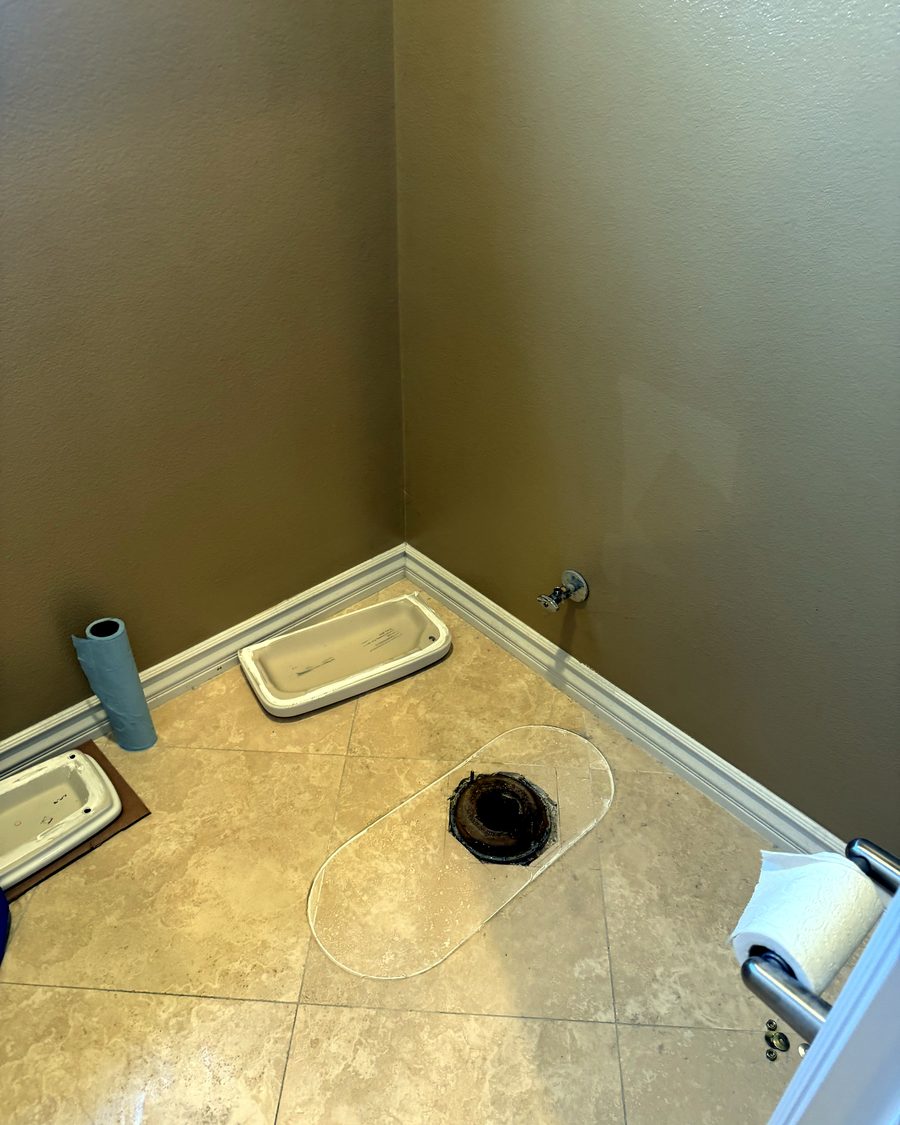 Toilet replacement, before
